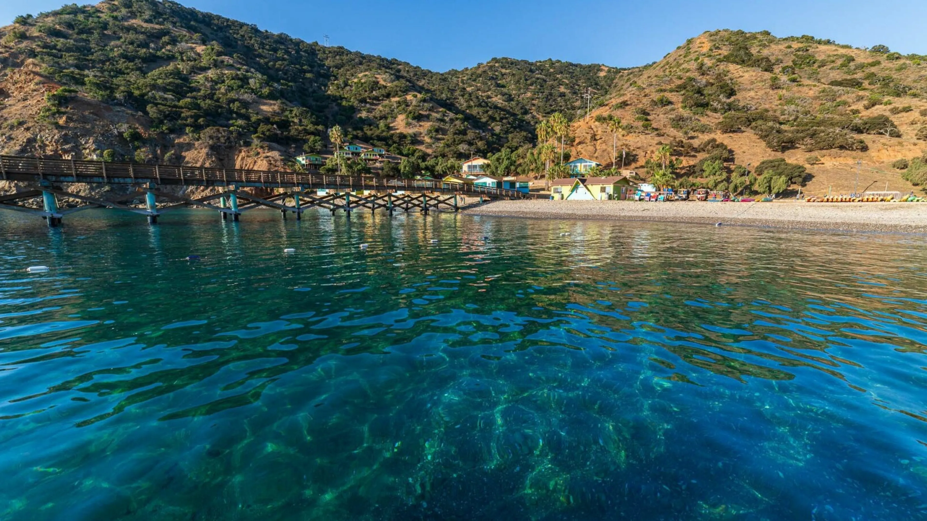 picture of camp fox from the ocean