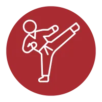 Karate Icon